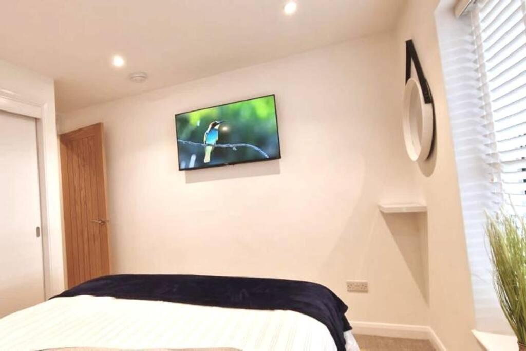 Ocean 8 Daire Torquay Dış mekan fotoğraf